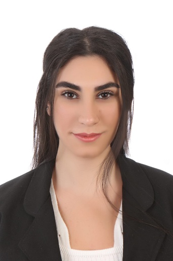 Abeer Zakaria shaheen