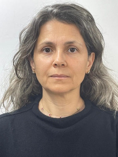 [384/2022] Dania Mustapha Dandashli