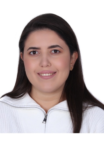 [1347/2025] Abir Hassan Ali